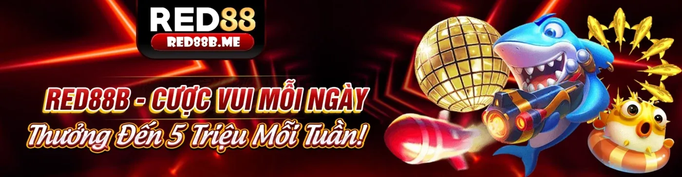 Hình ảnh giới thiệu 188v6 - Nền tảng cá cược uy tín hàng đầu