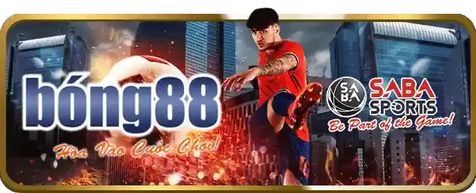 Cách đăng ký 188v6